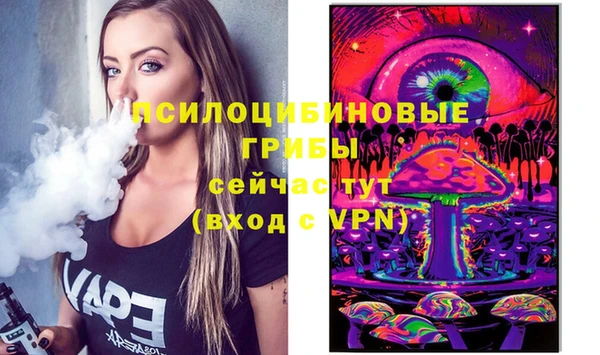 бошки Дмитров
