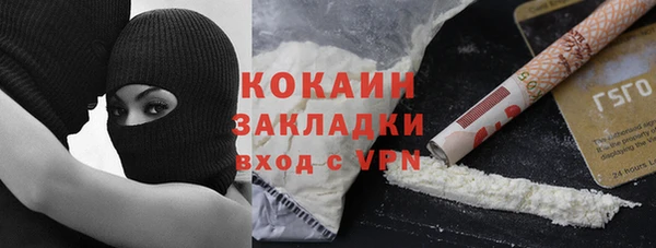 бошки Дмитров