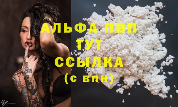 бошки Дмитров