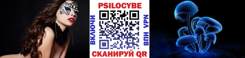 Псилоцибиновые грибы Psilocybe  Лебедянь 